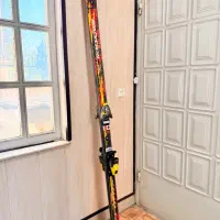 چوب اسکی آلپاین