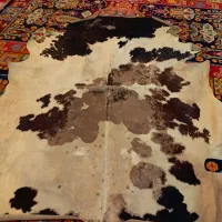 پوست گاو هلندی|فرش|کرج, کرج نو|دیوار