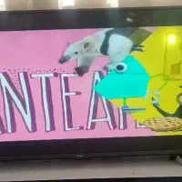 تلویزیون 43ال جی|تلویزیون و پروژکتور|بهبهان, |دیوار