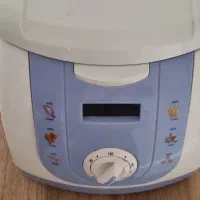 سرخ کن مینی