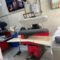 پرسکار حرفه ای جهت کار در خشکشویی