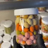 تنقلات مفید