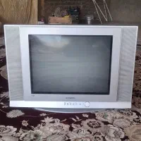 تلویزیون