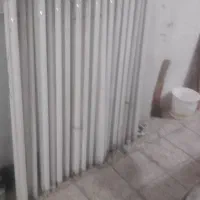 24عدد مهتابی سالم