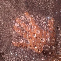 پارچه|لوازم خیاطی و بافتنی|شیراز, کوشک میدان|دیوار