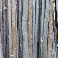 چوب|عمدهفروشی|تهران, تسلیحات|دیوار