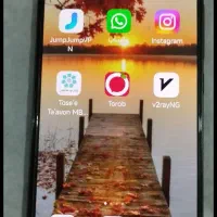 شیامی لایت ۱۲mi