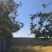 باغ-خوش-جا-با-مجوز-ساخت