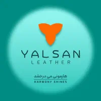 طراح سایت (برنامه نویس)