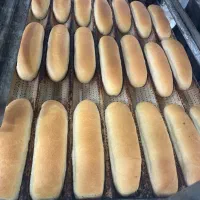 استخدام نیروی کار