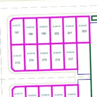 زمین-پردیس-جوانی-جمعیت