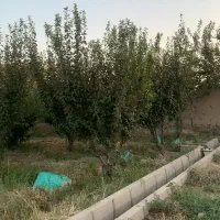 قطعات-700-متری-در-رزکان-سند-تک-برگ