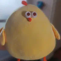 جوجه تپلی سایز بزرگ