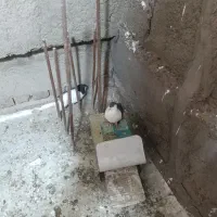 جفت چپ سیاه