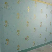 رنگ آمیزی  نقاشی ساختمان