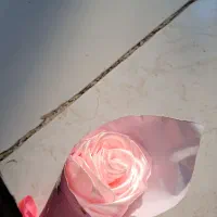 گل رنگ های مختلف برای جشن ها و مناسبت ها