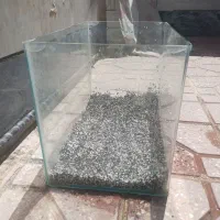 آکواریم
