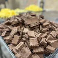 بستنی خشک و میوه فریزدرایر خرید از کارخانه