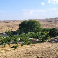 کار داوطلبانه در مزرعه|استخدام خدمات فروشگاه و رستوران|قم, انسجام|دیوار