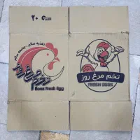 کارتن تخم مرغ و کارتن ساده