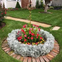 کلیه امور باغبانی تمام نقاط کرج حرفه ای و منصف