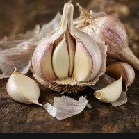 سیر خشک شده