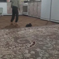 قالی قرمز|فرش|فولادشهر, مسکن مهر فولادشهر|دیوار