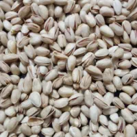 کله قوچی|خوردنی و آشامیدنی|تهران, زنجان جنوبی|دیوار