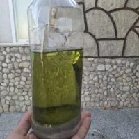 اسانس گل محمدی (عطر گل محمدی)