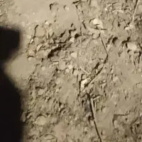 فروش ۲۰۰ متری