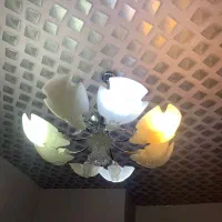 لوستر هشت شاخه|لوستر و چراغ آویز|اردبیل, |دیوار