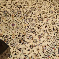 فرش دستباف اردکان|فرش|یزد, |دیوار