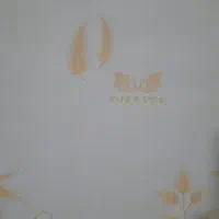 کاغذدیواری