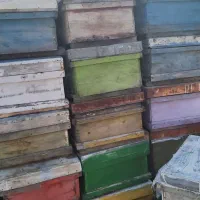 کندو زنبور عسل|حیوانات مزرعه|فیرورق, |دیوار