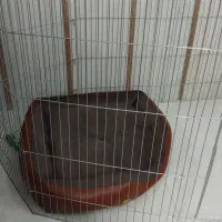 فروش پارک بازی (قفس سگ)و جای خواب سگ