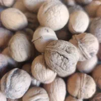 گردو درجه یک امسال ارگانیک