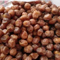 خرما خاصویی تعداد محدود