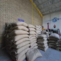فروش دان سبز قهوه روبوستا و عربیکا و پودری