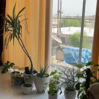 فروش تریبلکس بعثت۳|فروش خانه و ویلا|جیرفت, |دیوار