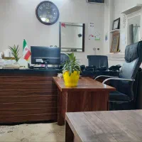 منشی قالیشویی