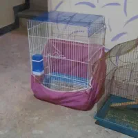 دو عدد قفس پرنده نیروی دریایی نارمک|لوازم جانبی حیوانات|تهران, نیروی دریایی|دیوار