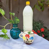 لبنیات سنتی و خانگی