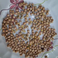 نخود ابگوشتی
