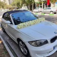 گل و گیاه/باکس گل/دسته گل /پایه ترحیم/ماشین عروس