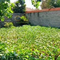 زمین مسکونی با نامه بنیاد، ۲۵۰ متر (خشکبیجار)