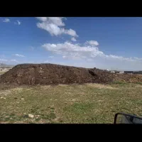 پهن کهنه گوسفندی درجه یک تمیز برا 15 سال پیش هست