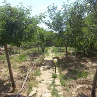 باغ ویلا در محدوه شهر|اجارهٔ کوتاه‌مدت ویلا و باغ|همدان, |دیوار