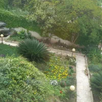 ویلای-لوکس-2-خوابه-حیاط-1200-متر-سیمرغ