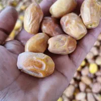 خرمای زاهدی جهرم درجه ۱