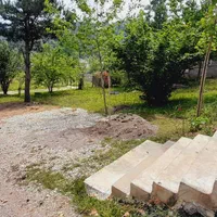 ویلاباغ جنگلی گلسار۲|اجارهٔ کوتاه‌مدت ویلا و باغ|آستارا, |دیوار